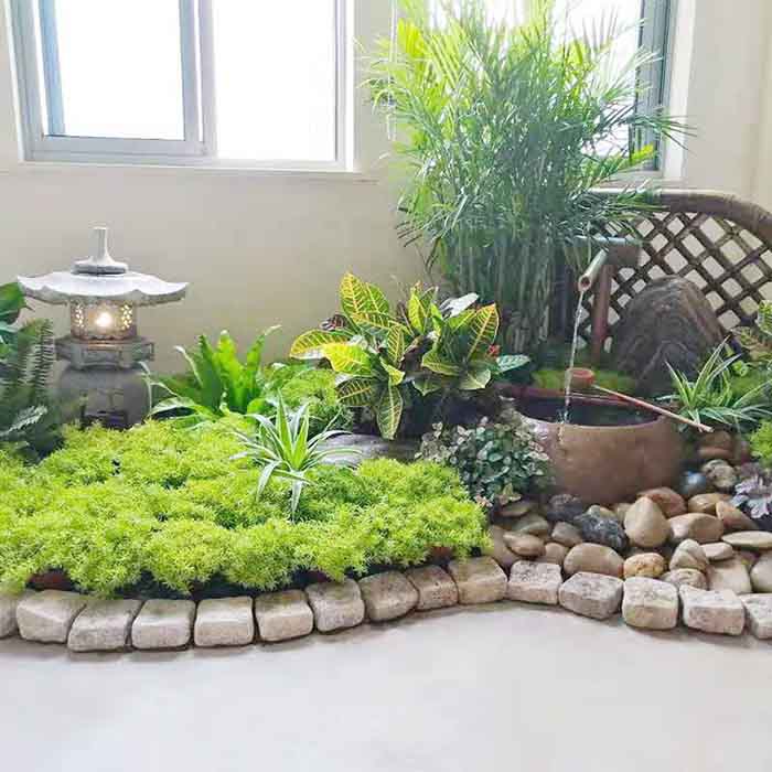 松江植物租赁
